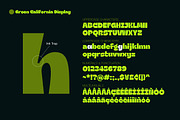 Groen California | Font Duo, a Sans Serif Font by Fargun Studio (Thumbnail 6 of 16)