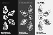 Fruits - hand drawn vector set, a Food Illustration by Margo Miller (Thumbnail 23 of 25)