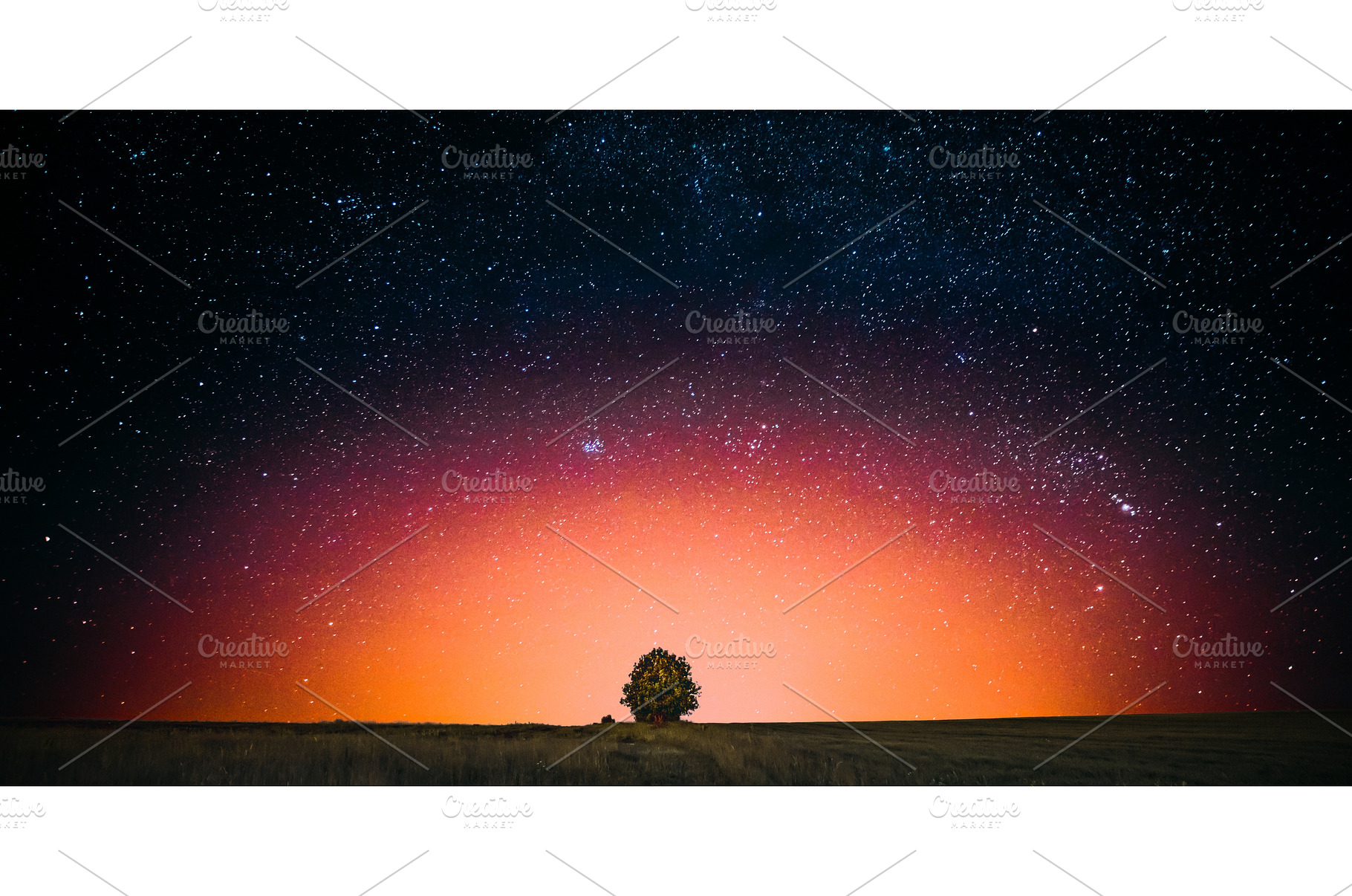 Night Starry Sky Above Lonely Tree, a Nature Photo by Our Amazing World