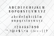 Petty - A Modern Serif Font, a Serif Font by blackdahliapress (Thumbnail 4 of 4)