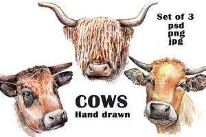 Set of  Cows. Hand drawn