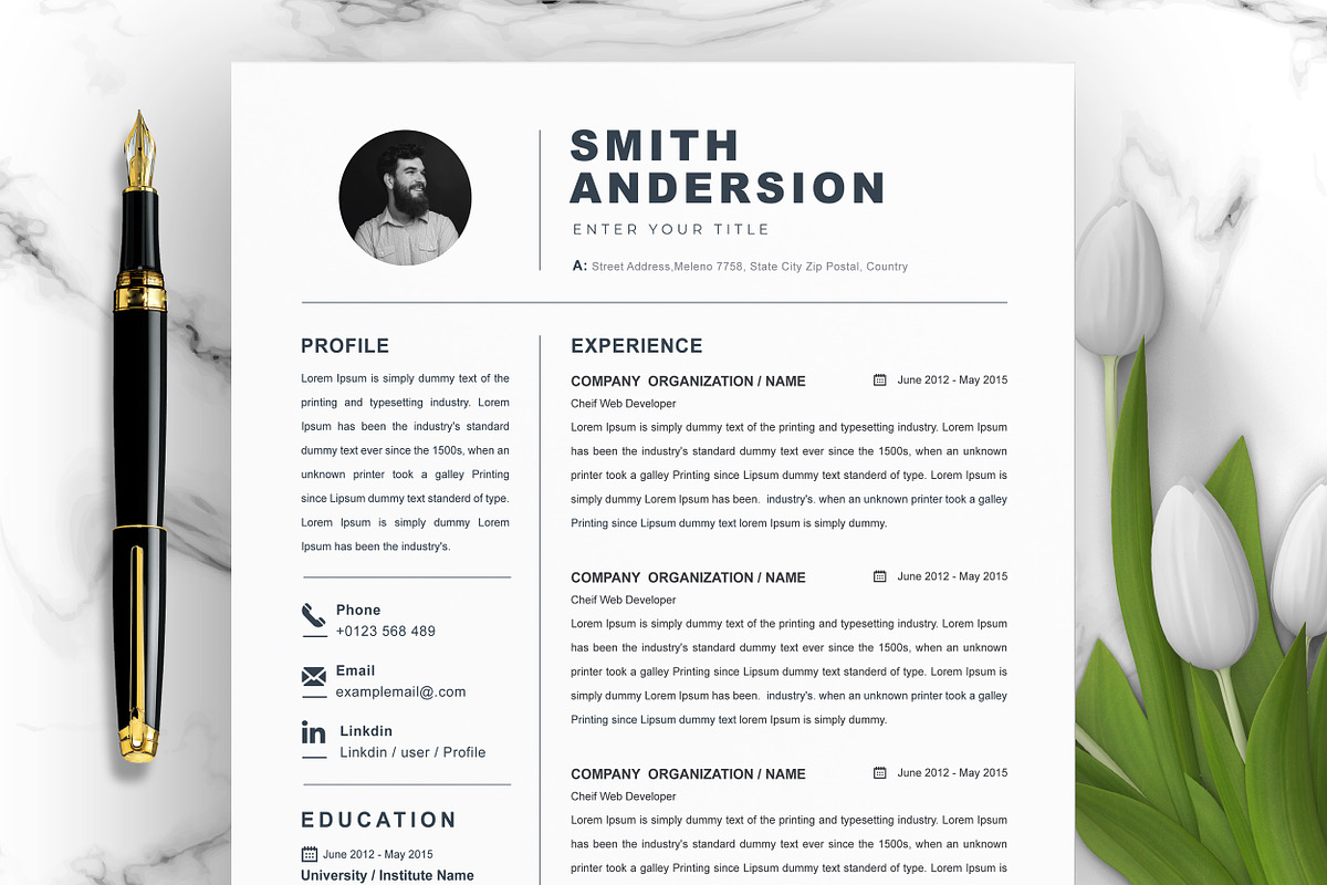 JOB WINNING RESUME - 50 TEMPLATES, a Resume Template by ResumeInventor (Photo 110 of 184)