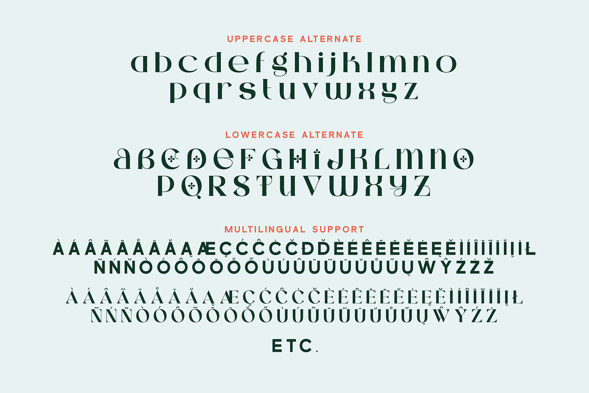 Condire Mixed – Display Font, a Serif Font by Brainwaves.Studio (Photo 4 of 9)
