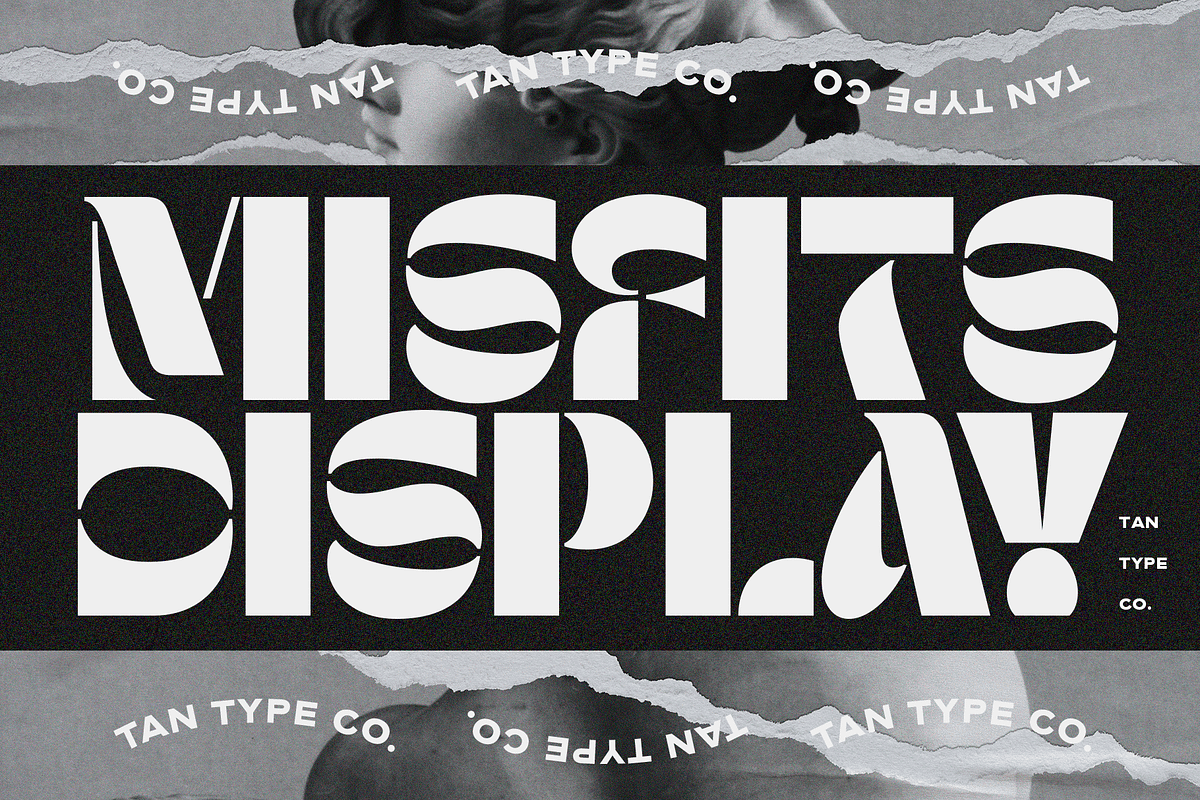 TAN - MISFITS, a Font by TanType (Photo 1 of 15)