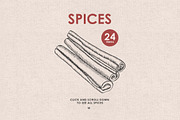 Herbs, Spices, Nuts. Hand drawn set., a Decorative Illustration by Chelovector (Thumbnail 3 of 4)