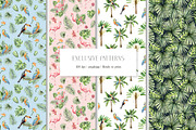 TROPICAL FOREST - Watercolor set, an Animal Illustration by Navenzeles (Thumbnail 9 of 16)