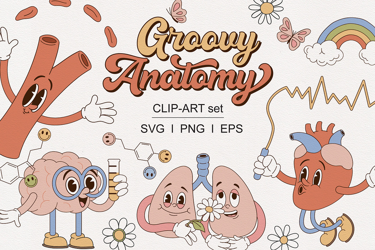 Human Organ character clipart set, an Object Graphic by @olga.angelloz (Photo 1 of 2)