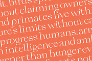 Qiona Elegant Modern Serif Font, a Serif Font by timelesstype.co (Thumbnail 14 of 20)