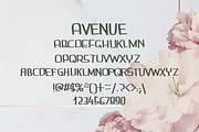 Avenue Summer Font, a Script Font by DmDesignsStoreArt (Thumbnail 2 of 2)