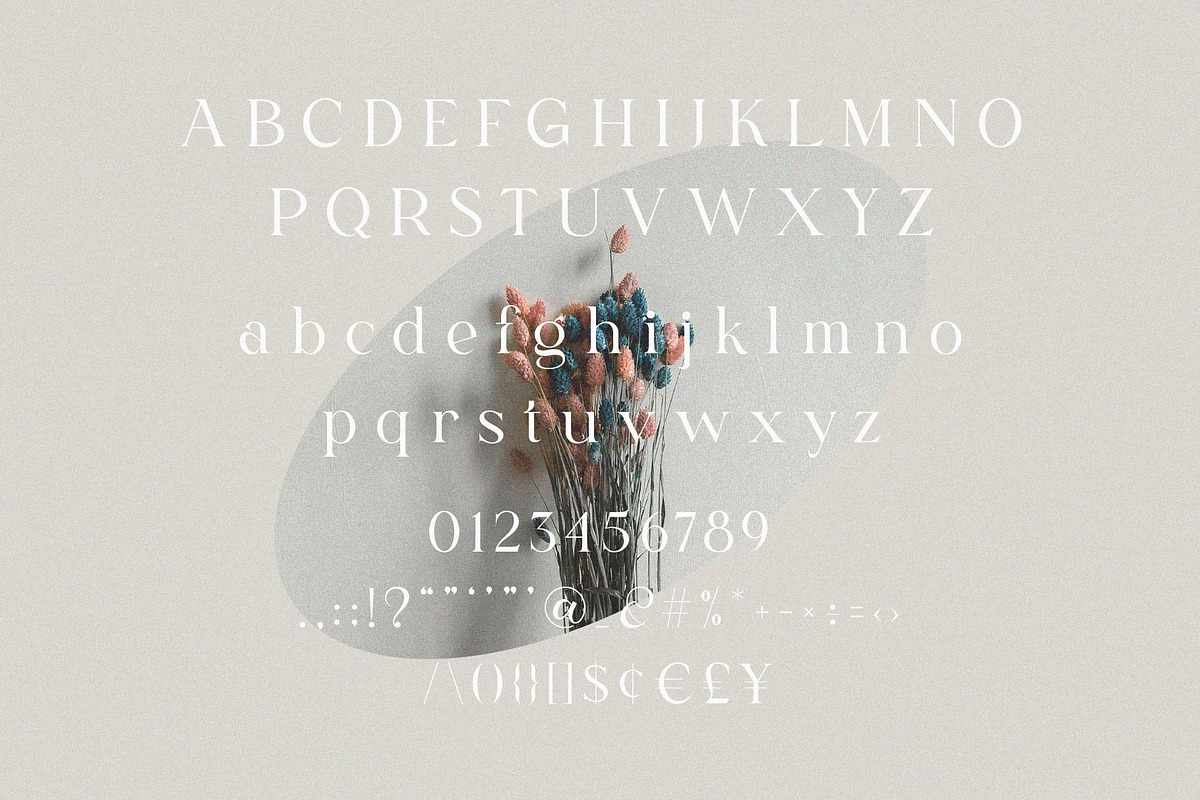 Fligen - Stylish Serif, a Serif Font by BrandSemut (Photo 9 of 10)