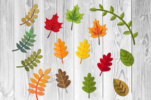 Fall & Autumn Elements Layer SVG