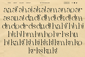 Qaitan Modern Serif Font