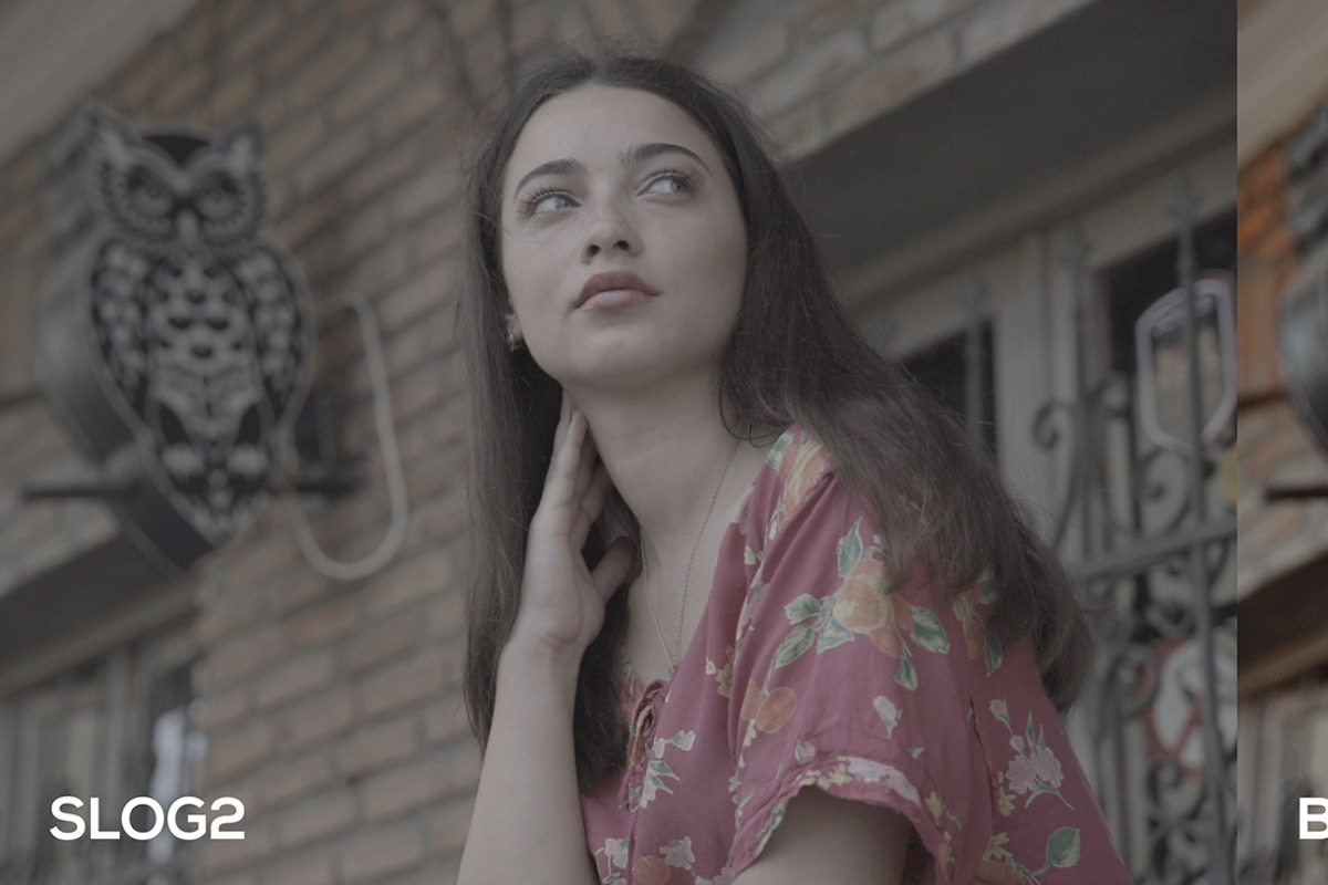 Cinematic Luts (Slog2 & Slog3), a Layer Style Add-On by GeorgeKhelashvili (Photo 5 of 10)