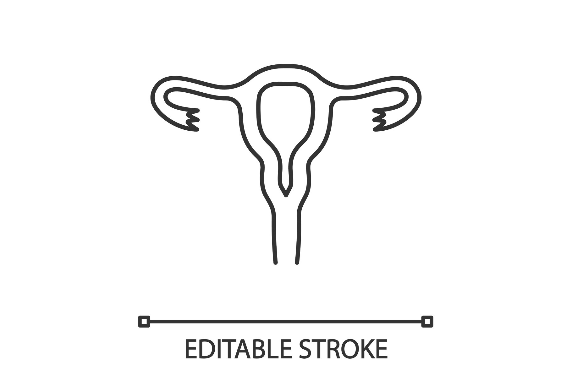 Uterus, fallopian tubes, vagina icon, an Outline Icon by IMG Visuals
