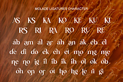 Molade - Modern Ligature Font, a Serif Font by RagamKata (Thumbnail 9 of 10)