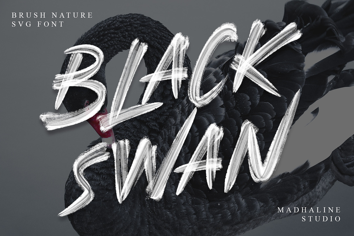 Brush Nature | Realistic Brush SVG, a Handwritten Font by Madhaline Studio (Photo 5 of 12)