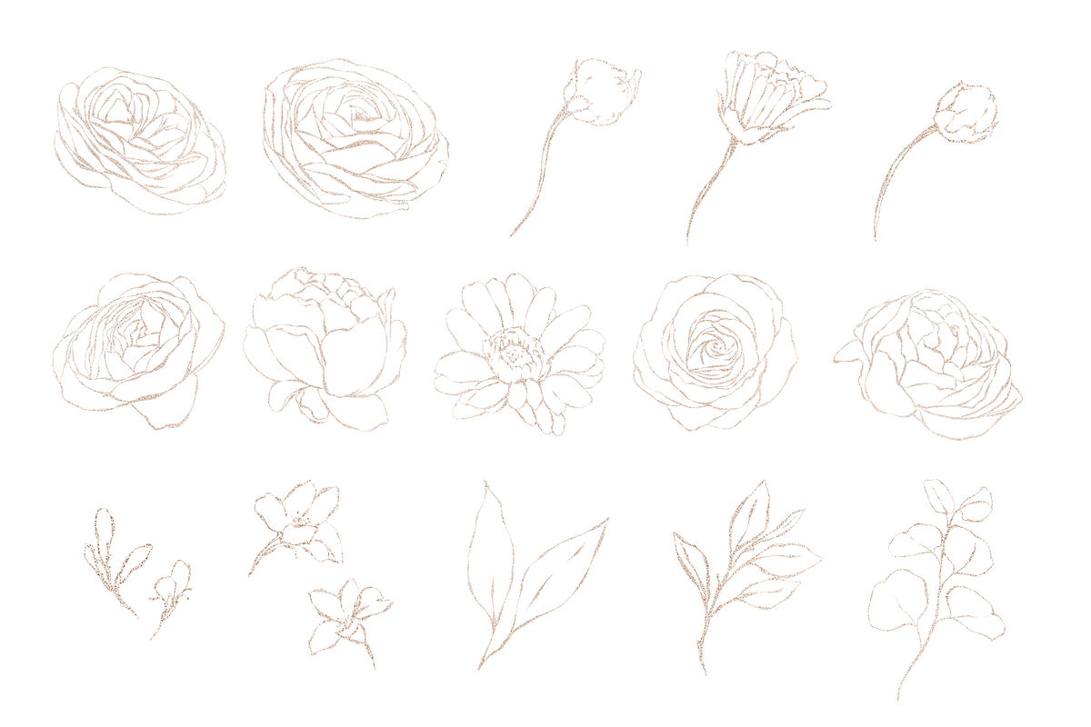 Bronte | Botanical set | 280+ images, an Illustration by Karma (Photo 27 of 39)