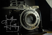 Dalton White 4 Font Style, a Script Font by Madhaline Studio (Thumbnail 7 of 12)