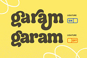 Hadlen - Playful Retro Serif, a Serif Font by Variatype (Thumbnail 14 of 19)