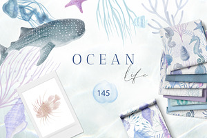 Ocean Life