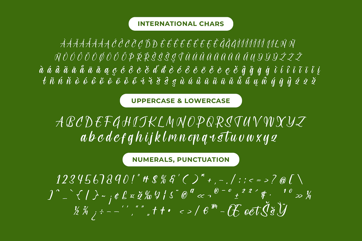 Shothery Mistoph Modern Handwritten, a Script Font by stylishtype.co (Photo 18 of 20)