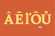 Acelga, a Serif Font by yaisalinas (Thumbnail 4 of 15)