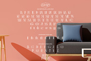 Reline Rosery, a Serif Font by Nathatype (Thumbnail 7 of 10)