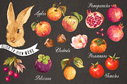 Hand drawn autumn collection, an Illustration by Graphic Box (Thumbnail 3 of 5)