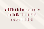 Qaftan - Elegant Serif Font, a Serif Font by Aqeel_Art (Thumbnail 11 of 12)