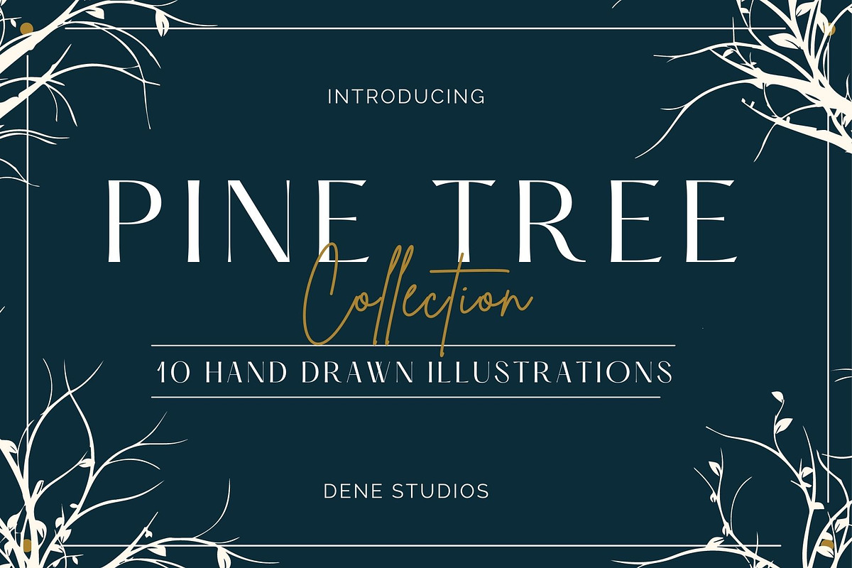 Hand Drawn Pine Trees, an Illustration by Dene Studios (Photo 1 of 6)