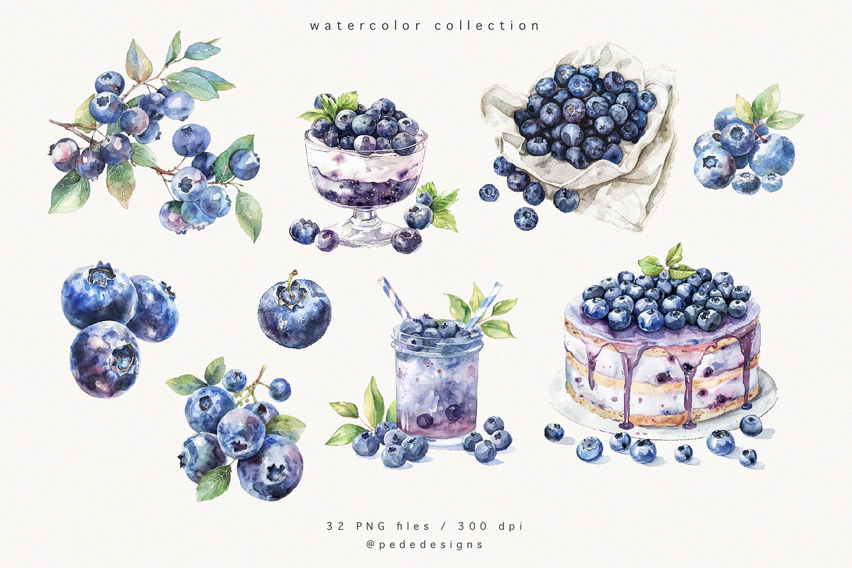 Watercolor Blueberries, a Food Illustration by PeDe Designs (Photo 4 of 4)