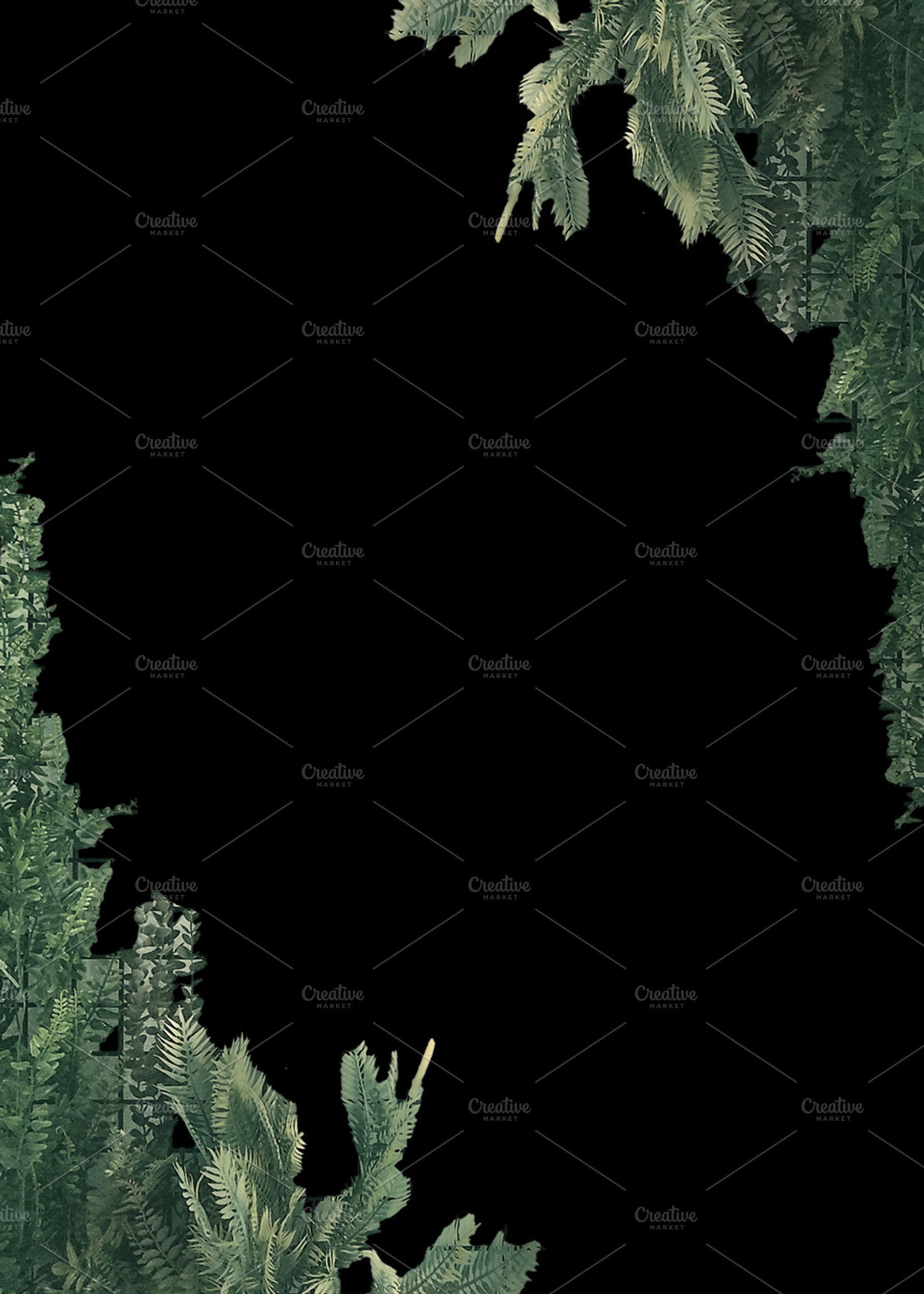 Black background with decorated plants edges, a Nature Photo by DanFLCreativo