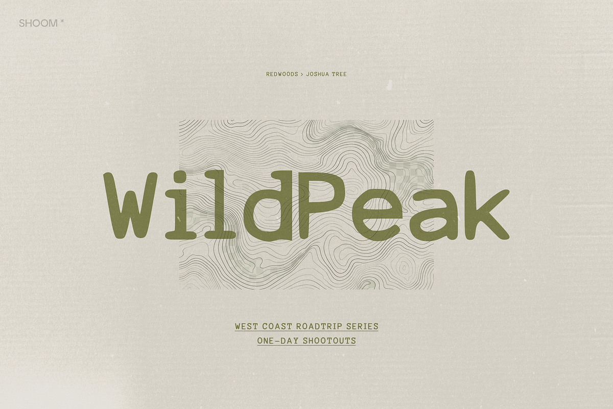Lyric Mono: Cozy Monotype, a Sans Serif Font by SHOOM HOUSE (Photo 9 of 12)