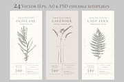 Herbal Design Kit: Vector & PSD, a Templates & Theme by Lumitar (Thumbnail 5 of 8)