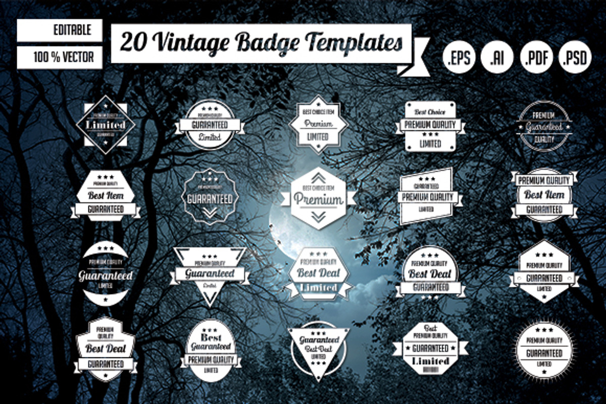 20 Vintage Badge Templates, a Branding & Logo Template by KAZ by IanMikraz Studio (Photo 3 of 5)