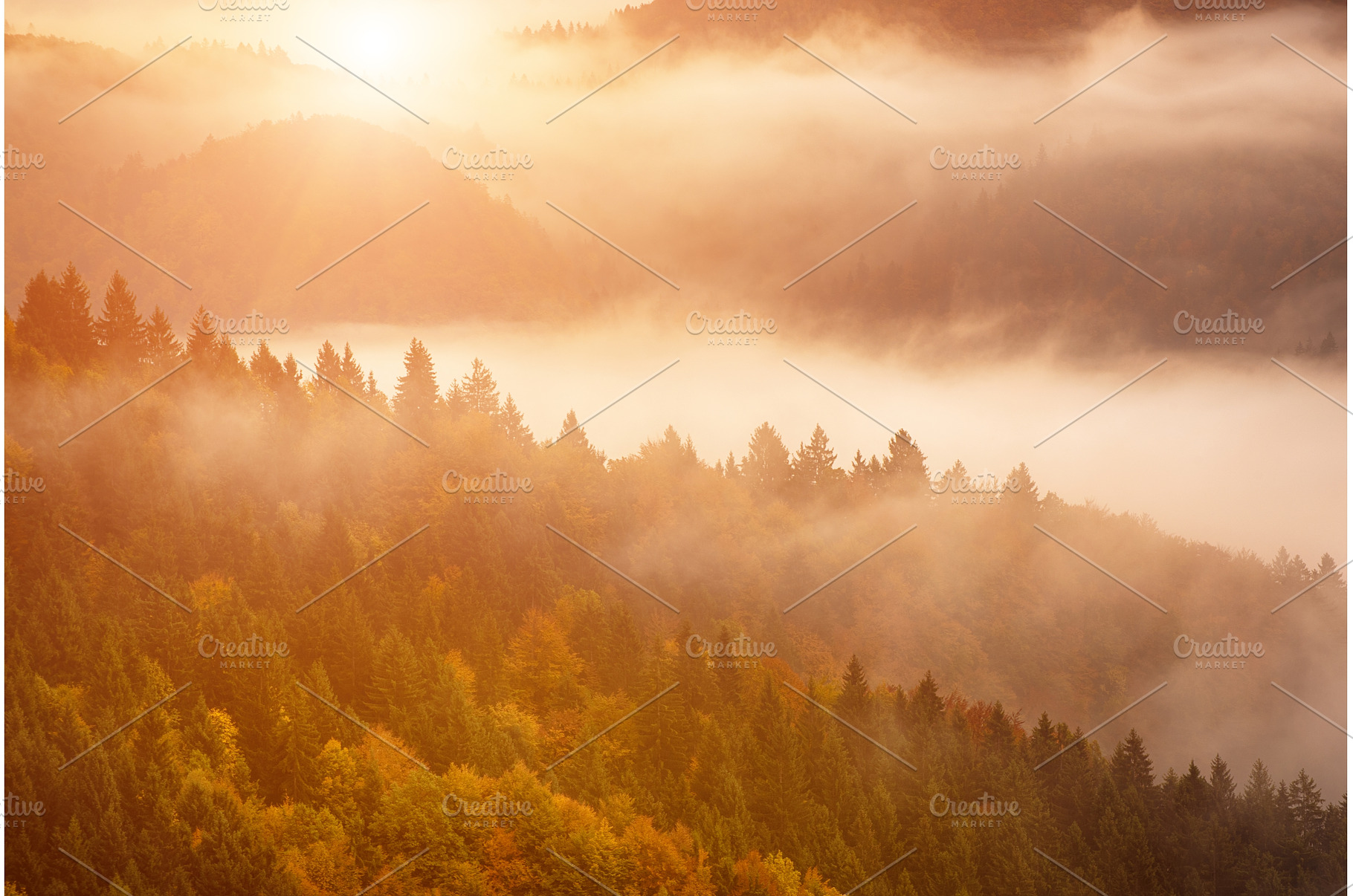 Misty autumn mountain landscape at, a Nature Photo by Nature and travel