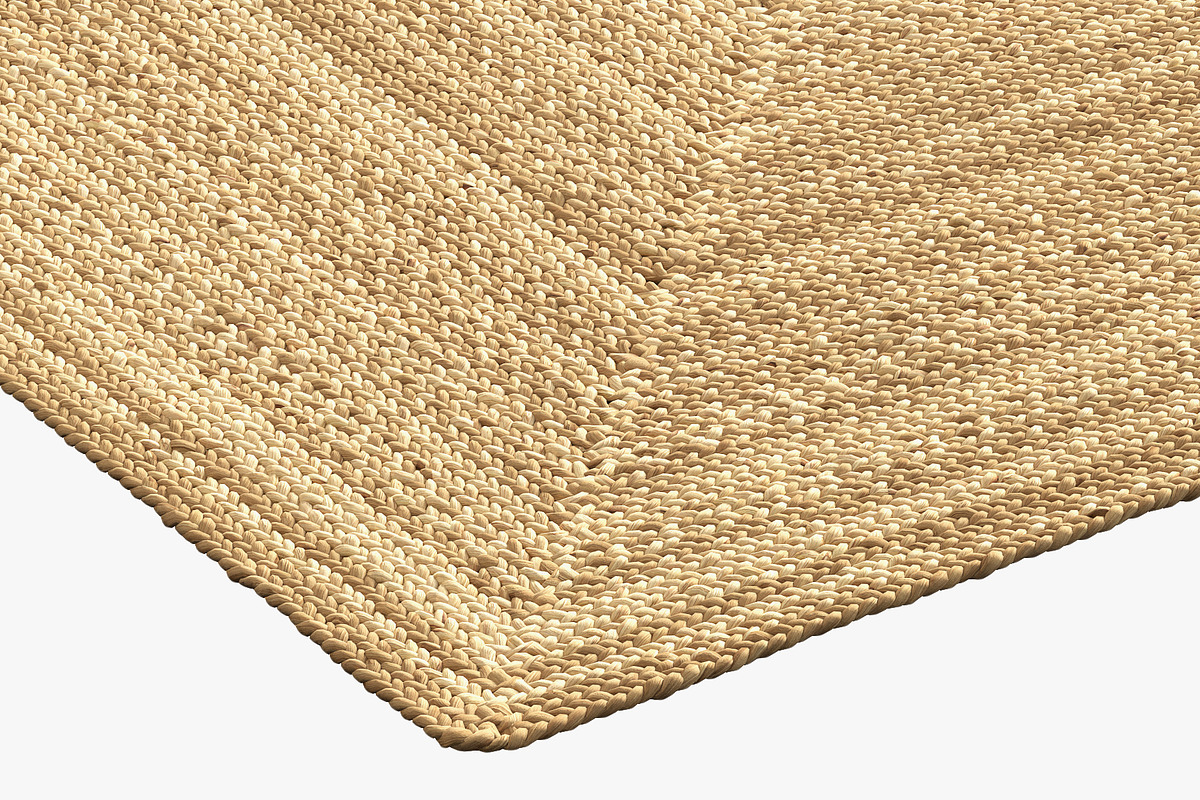 Dina Coastal Jute Rug Square, a Furniture 3D Model by 3dmitruk (Photo 8 of 15)