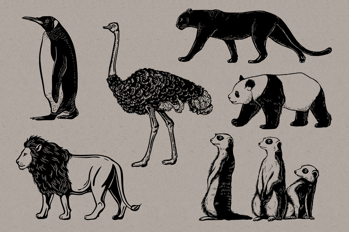 Linocut Zoo, Animal illustrations, an Animal Illustration by Garden in frame (Photo 7 of 7)