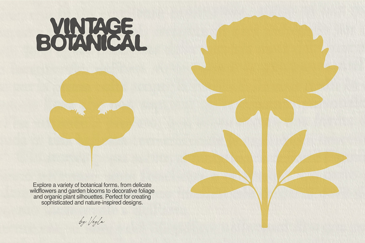 Vintage Botanical: 100 Illustrations, an Object Illustration by Veyla (Photo 8 of 15)