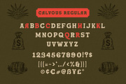 Calvous - Slab Serif Typeface, a Slab Serif Font by Letterhend Studio (Thumbnail 8 of 11)