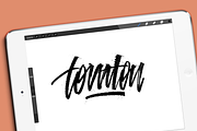 Ruling Pen Brushpack for Procreate, a Brush Add-On by Studio FabianFischer (Thumbnail 6 of 6)