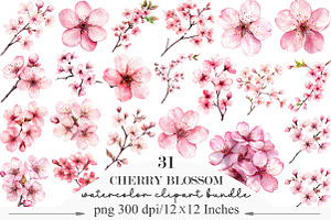Watercolor Cherry Blossom Clipart, an Illustration by Designking