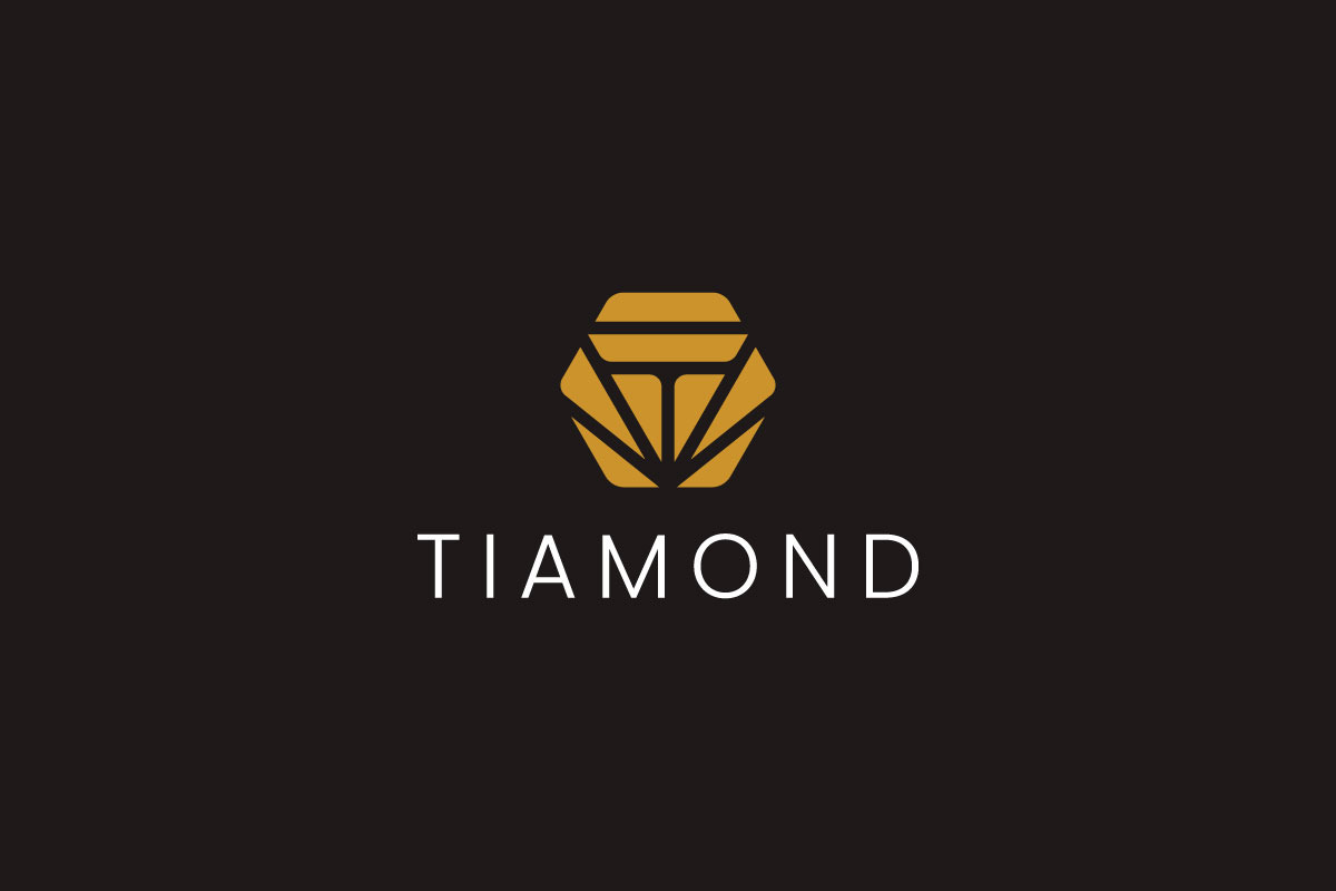 Luxury T Logo Template for Jewelry preview 6