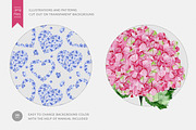 Hydrangea Flowers, a Decorative Illustration by Anna Myslivets Art (Thumbnail 3 of 6)