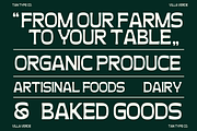TAN - VILLA VERDE, a Sans Serif Font by TanType (Thumbnail 10 of 13)