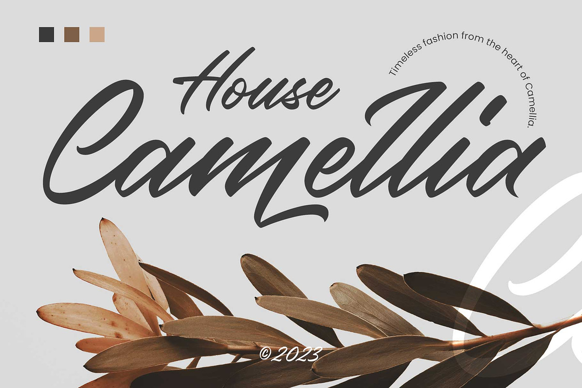 Rainylock - Handwritten Script, a Script Font by Arterfak Project (Photo 3 of 13)
