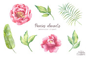 Watercolor Peonies set, a Decorative Illustration by BrushArtDesigns (Thumbnail 3 of 9)