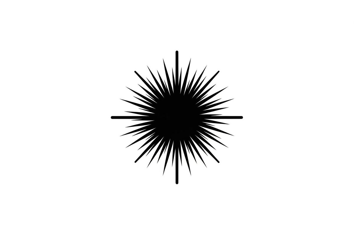 Sunburst Rays Vector Bundle Bundle, an Illustration by yasushie (Photo 20 of 31)