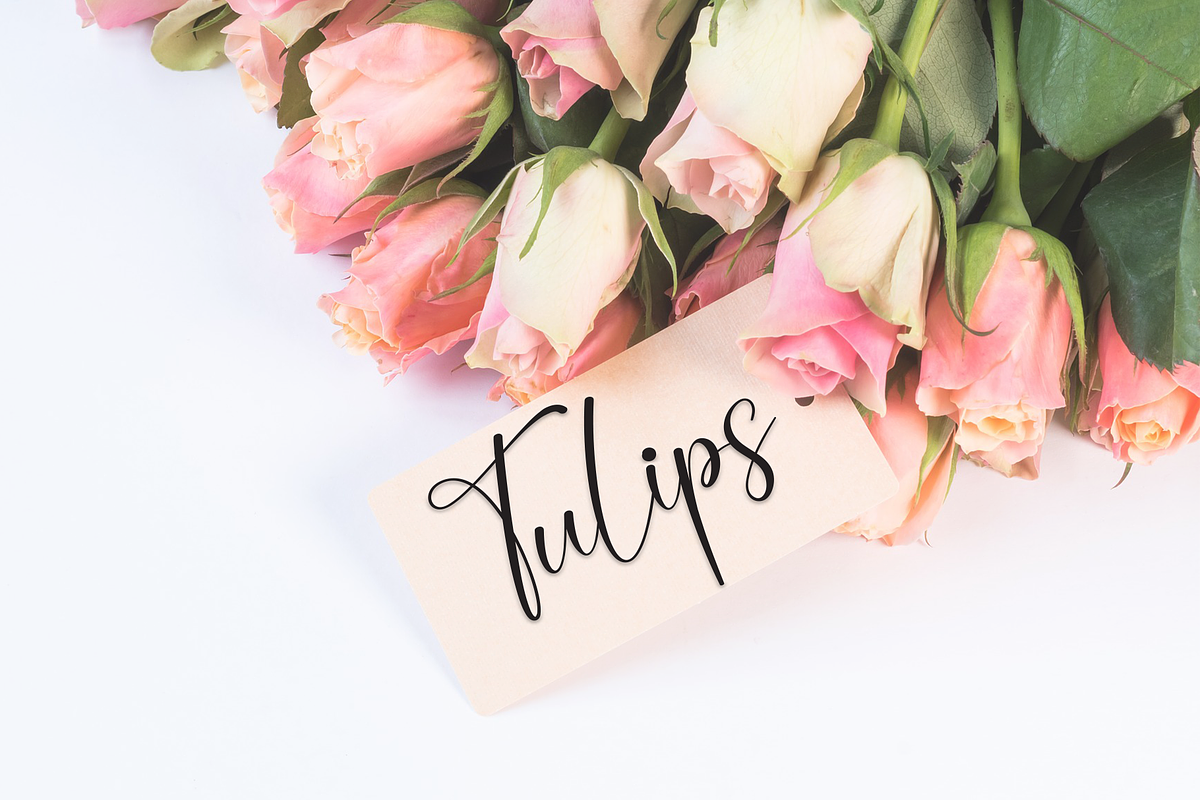 Mountain | Script Font, a Handwritten Font by Scratchones (Photo 5 of 9)