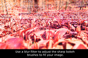 60 Bokeh Brushes & PNGs, a Brush Add-On by xresch (Thumbnail 4 of 14)